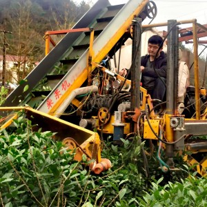 紧急求购一批适配茶叶种植的农机设备