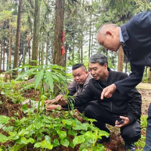 紧急寻求汉中本地农事作业团队