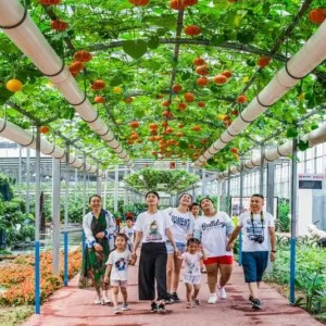休闲农业旅游度假